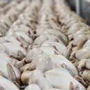자연애계 | 업소용 삼계탕은 어떤 제품이 좋을까? 식당 사장님 9명이 직접 평가한 자연애계 삼계탕