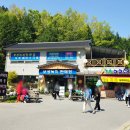 보성다원녹차 판매장 이미지