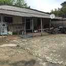 영광IC주유소 이미지