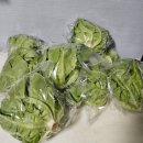 광채농장 이미지