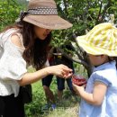 명지리앵두마을 이미지