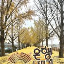 모네 | 아산 곡교천 은행나무길 뷰 맛집 / 고양이 있는 갤러리 카페 모네 내돈내산 후기