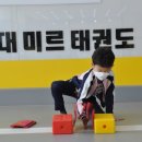 양덕용인대태권도장 이미지