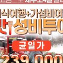 (주)허니투어 이미지