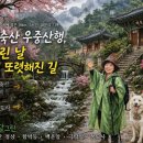 영남불교대학 앞 | 영축산 우중산행 | 흐린 날 더 또렷해진 길