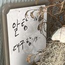 주원일식