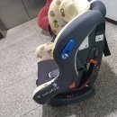 신안항균세탁 이미지