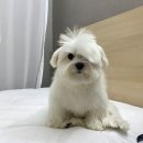 한옥미쁨