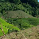 농어민마트 이미지