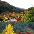 골드캐슬펜션 이미지