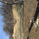 여산서초 이미지