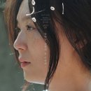 홍이v