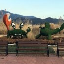 순천만그리고나 이미지