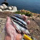 해녀언니네 이미지