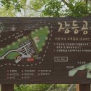 장등공원(바람) 이미지