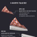 베드디포용인 이미지