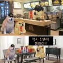 삼촌분식