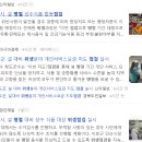 해동행정사사무소 이미지