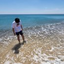 관성솔밭해변 이미지