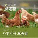 8월7일.활전어,활흰다리새우,부세굴비,토종닭,해신탕,전복삼계탕,바지락살,매생이,홍어회,홍어껍질묵,민물장어,배오징어,멸치,곱창김 이미지