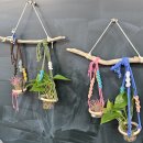 꿈나무환경교실 이미지