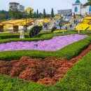 치즈밸리참나무집 이미지