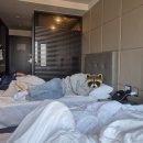 골든튤립에버용인호텔 | 용인 에버랜드 근처 골든튤립 에버용인호텔 내돈내산 이용 후기