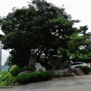 달마선원