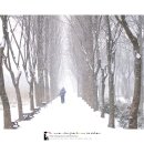 깍꼬뽁꼬 이미지