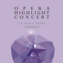 [7/31(토)오후5시 예술의전당 콘서트홀] 2021 OPERA HIGHLIGHT CONCERT 2 이미지