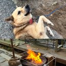 늘푸른숲 이미지