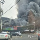 영덕식자재마트 연합뉴스