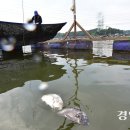 인천낚시터 이미지