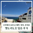 엘도라도 | 울릉도(독도) 가족여행|포항에서 울릉도, 대저 페리, 엘도라도호 탑승 후기(주차, 준비물)