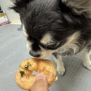 해피왈츄 | [강아지 수제간식 추천] 해피왈츄 꼬꼬링 말랑 쫄깃 닭안심져키 개봉기🐶💛