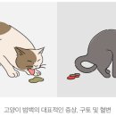 (주)경미양과 이미지