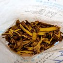 고금한의원 이미지