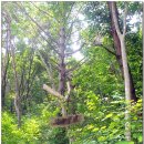 기룡산입구 이미지