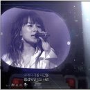 승채 Daum카페