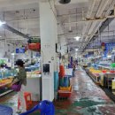 수협다대회센터 | 📍 삼천포수협활어회센터 주영상회 전어회 후기 🐟💚