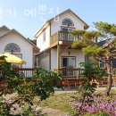 바닷가예쁜집 | 태안해루질펜션 바닷가 예쁜집 태안가볼만한곳 서해갯벌체험과 숙박을 함께!