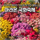 계양아라온 찾아가는 음악회 | 2025 계양 아라온 국화축제 가는법 및 주말 주차장 이용후기
