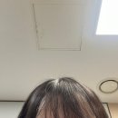 12월 마지막주의 일상