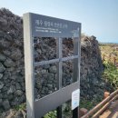 제주 월령리 선인장군락 | 제주여행 가볼만한곳 월령리 선인장 군락 산책하기 좋은곳