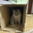 파리바게트 부산중앙역점 이미지