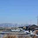 천일태양광발전소 이미지