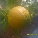 바우길 15구간 이미지