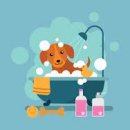 펫아일랜드 이미지