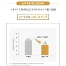 골드나이트 이미지