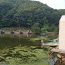 천평낚시터 이미지